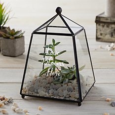 Geometric Glass Terrarium